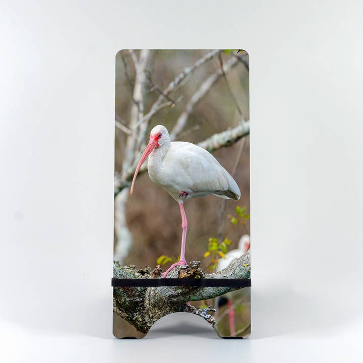 Phone Stand-American White Ibis for wholesale by Mike Ring Photography
