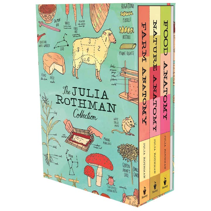 The Julia Rothman Collection for wholesale by Hachette Book Group