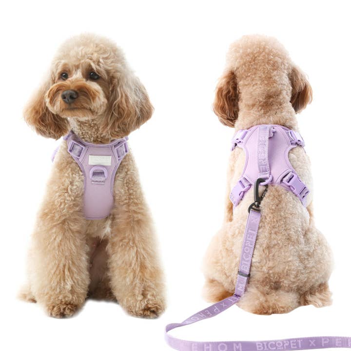 PEHOM - Wholesale Pet Harness - Dog - NO PULL ACTIVE DOG HARNESS - MINT PURPLE