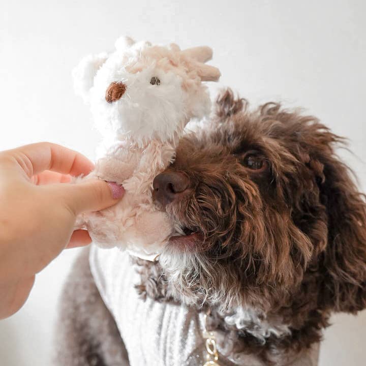 Fur Elise Pets - Wholesale Pet Plush Toy - Dog - Koko Mini Plushie4