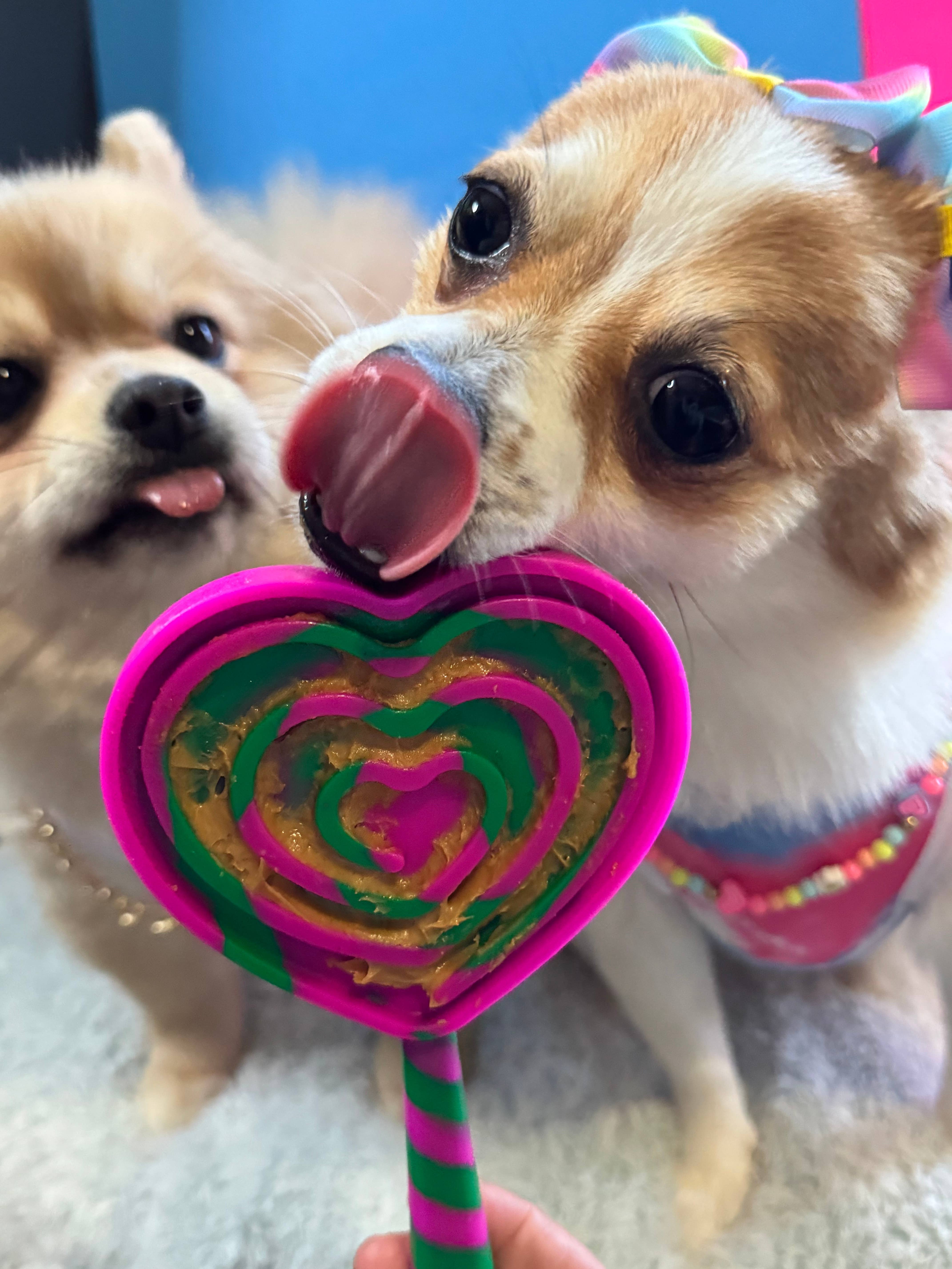 Spunky Pup - Vente Tapis de gamelle – chien - Lick Pops - Spatules à lécher pour chiens et chats4