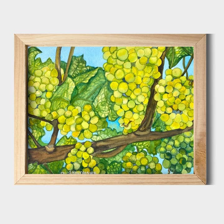 Impresión en acuarela Chardonnay Grapes de 11 x 14 pulgadas para venta al por mayor de Chloe Marie Hourdequin Designs