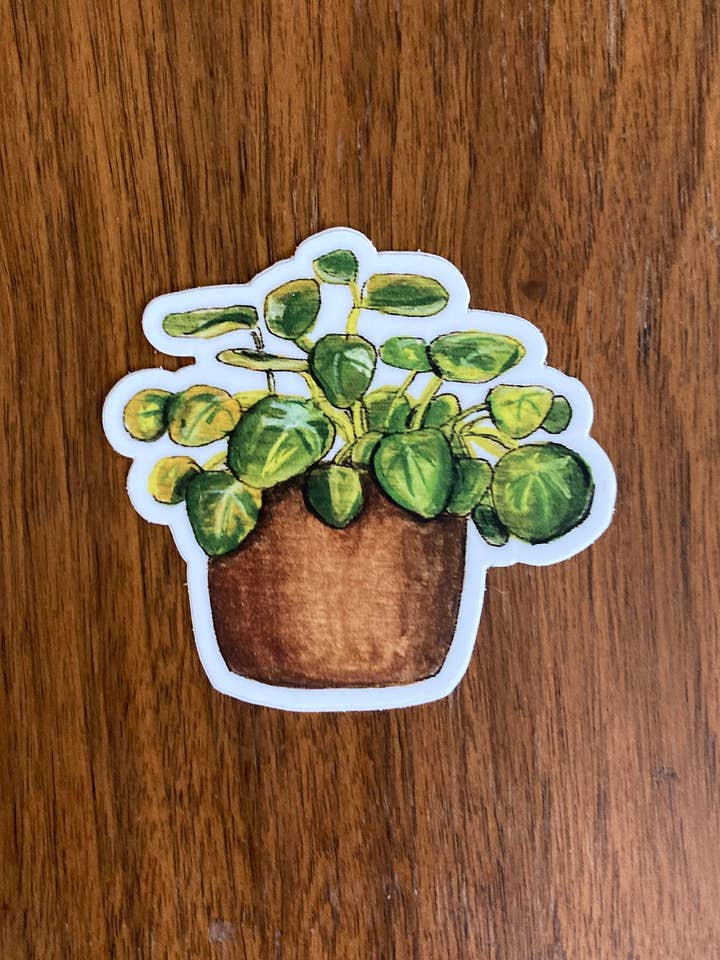 Topfpflanzen-Aufkleber für den Großhandel von Trendy Bullsh*t