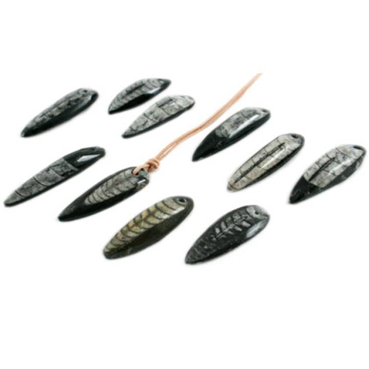 La Boîte à Cailloux - Wholesale Pendant/Charm Necklace - Orthoceras pendant Morocco A + cord2