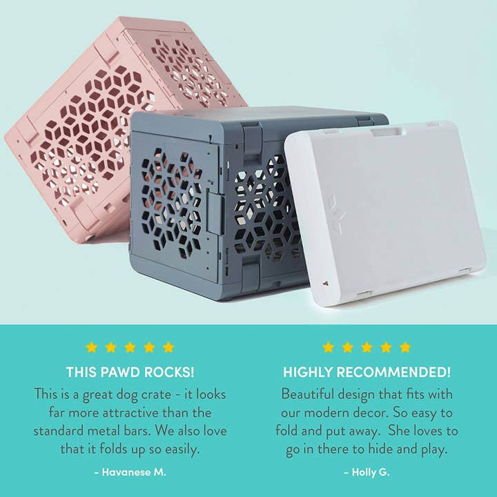 KindTail - Wholesale Pet Carrier - Dog - Small Pawd® | Modern Collapsible Plastic Dog & Pet Crate (To12