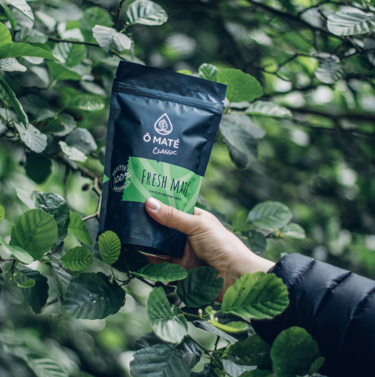 Ô Maté - Wholesale Health/Detox Tea - Fresh Maté, green mint maté3