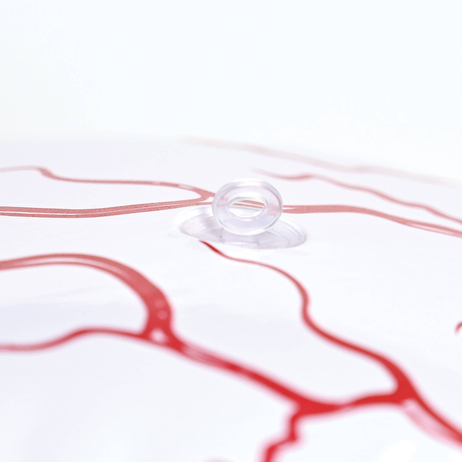 Beistle - Wholesale Inflatables - Beistle 16" Inflatable Eyeball3