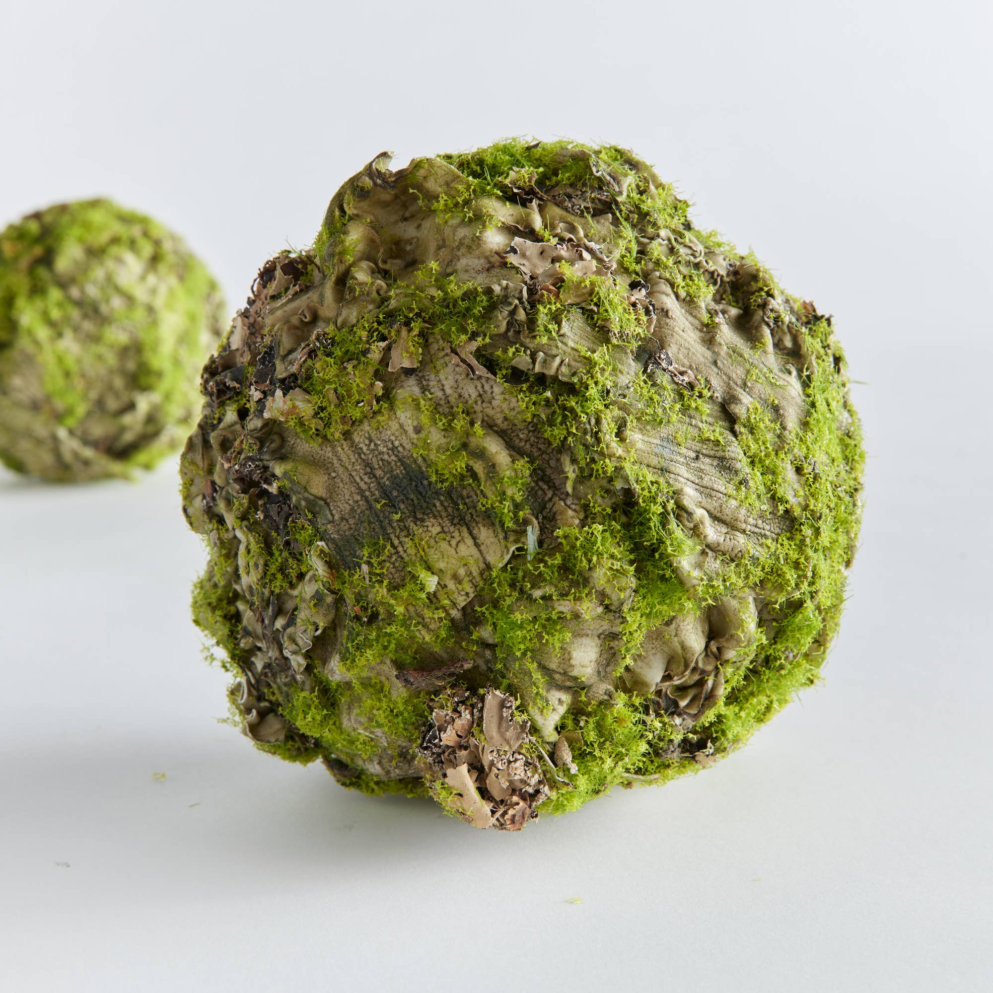 Napa Home & Garden - Wholesale Decorative Tabletop Object - Mossy Lichen Orb 5"2