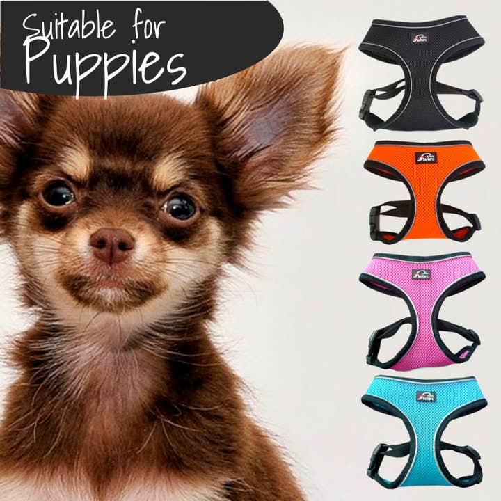 FINNERO - Wholesale Pet Harness - Dog - FINNERO LIGHT Reflective Harness For Pets, 4 Colors15