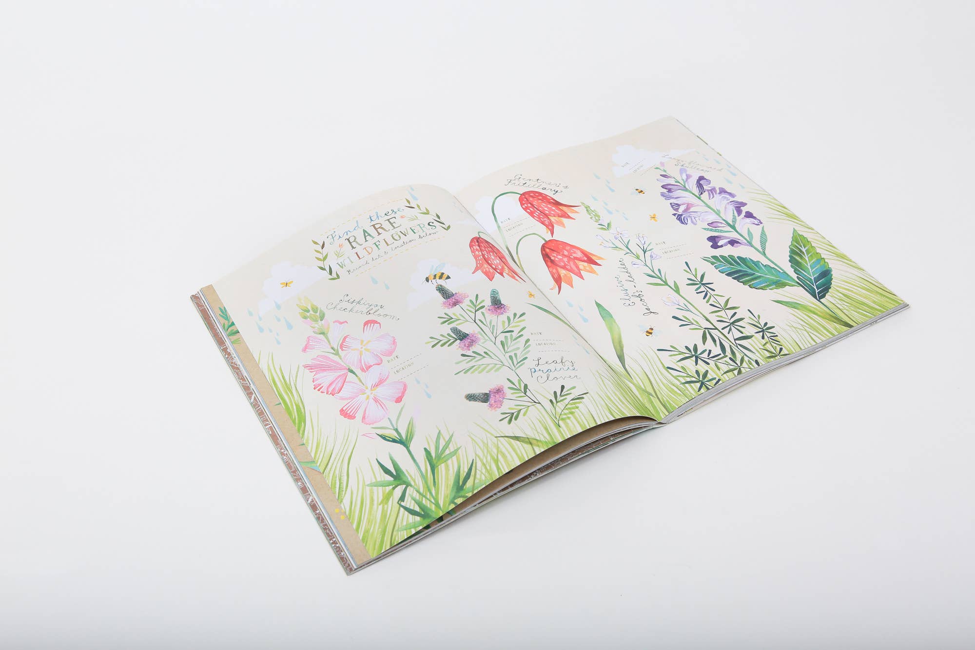 Chronicle Books - Wholesale Journal/Diary - The Wildflower's Workbook5
