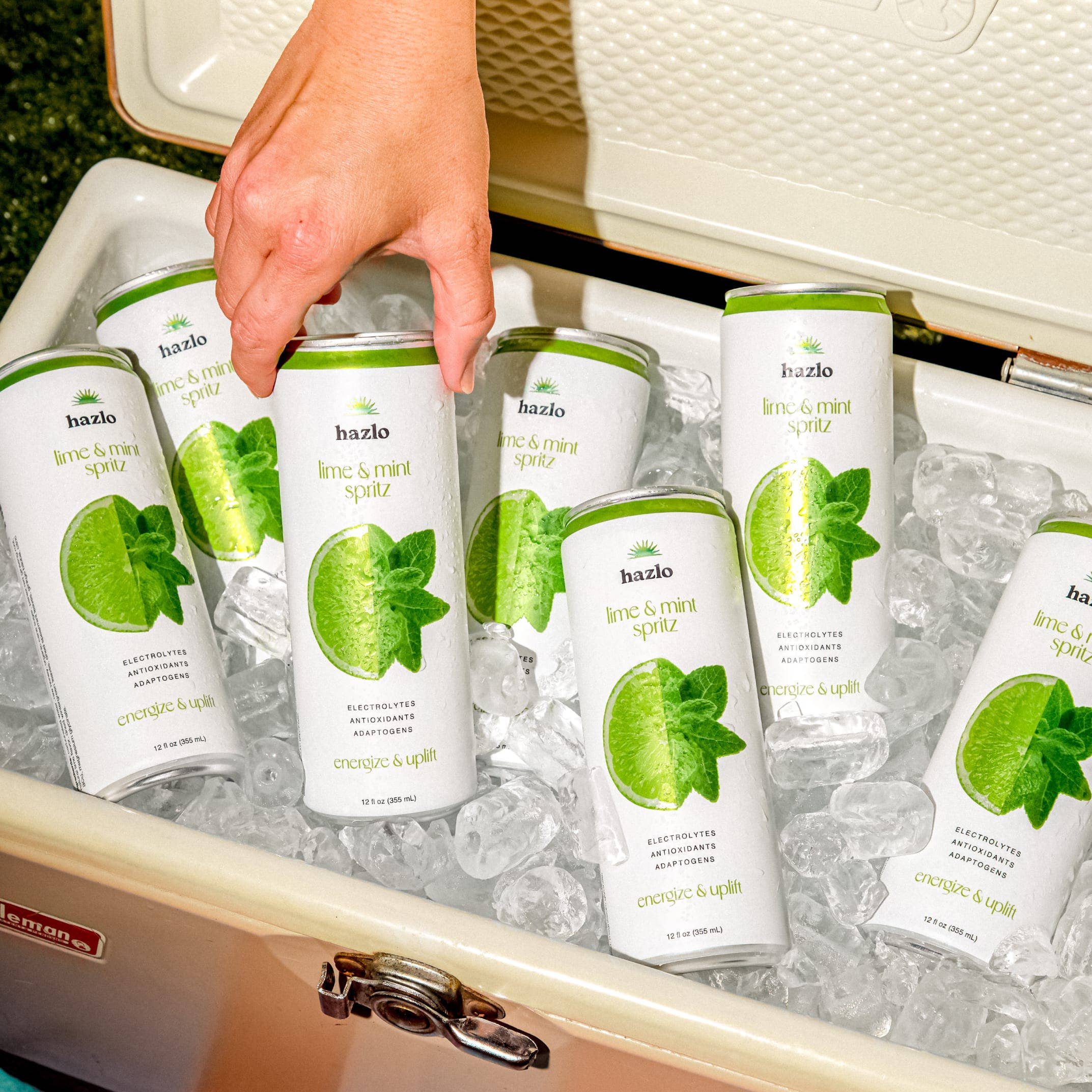 Hazlo - Wholesale Soda/Carbonated Drink - Lime & Mint Spritz2