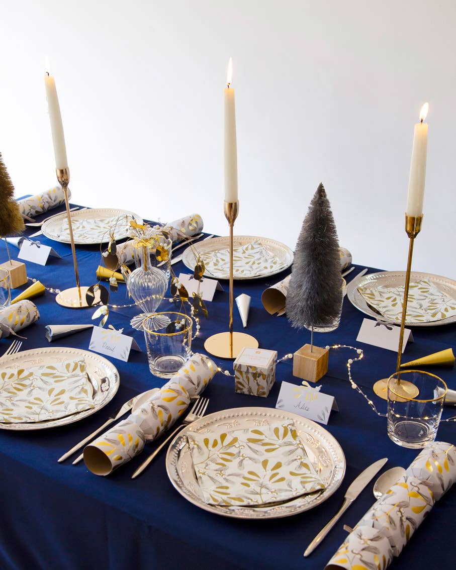 Talking Tables UK – wholesale Disposable napkin – Mistletoe Christmas Napkins | 20 Pack |7