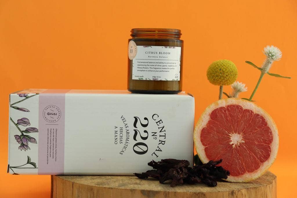 Central 220 - Wholesale Jar/Filled Candle - 03 | Balance | Citrus Bloom | Scented Candle7