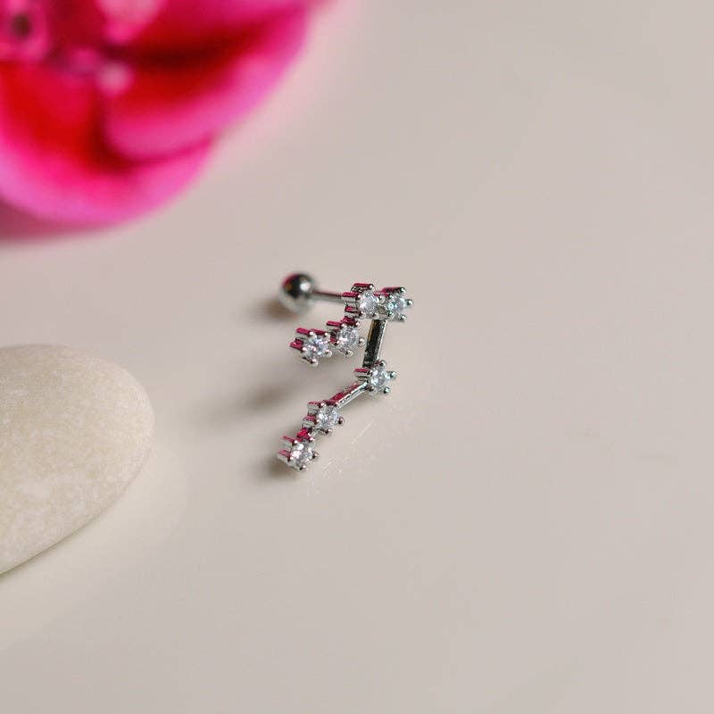 StockJWL - Wholesale Stud/Post Earrings - 12 Zodiac Earrings, Constellation Stud Earring Stud Piercing Tragus Helix Lobe and Cartilage Silver And Gold19