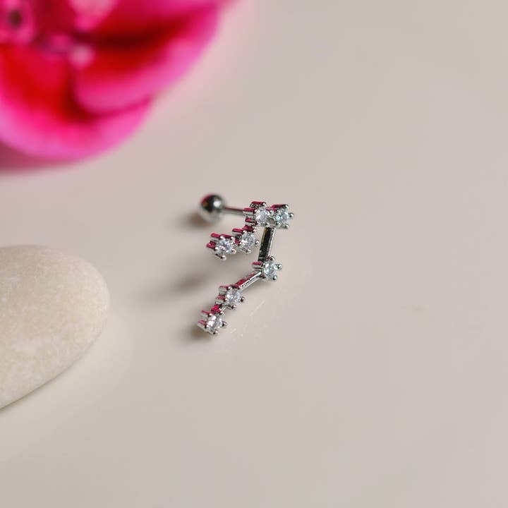 StockJWL - Wholesale Stud/Post Earrings - 12 Zodiac Earrings, Constellation Stud Earring Stud Piercing Tragus Helix Lobe and Cartilage Silver And Gold19