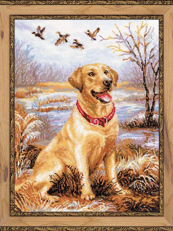 Kit de Broderie au Point de Croix de Riolis 1399 Labrador pour la vente par RIOLIS