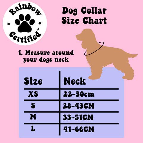 Rainbow Certified - Wholesale Pet collar – Dog - Pastel Yellow Rainbow Dog Collar2