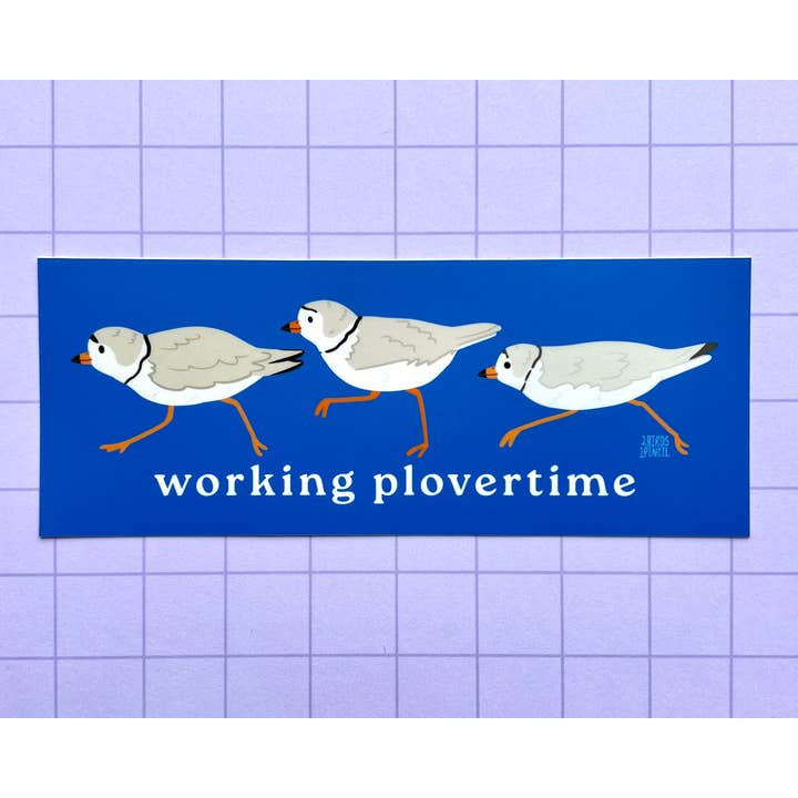 2Birds1Pencil Illustrations - Wholesale Sticker - Working Plovertime Piping Plover Bumper Sticker