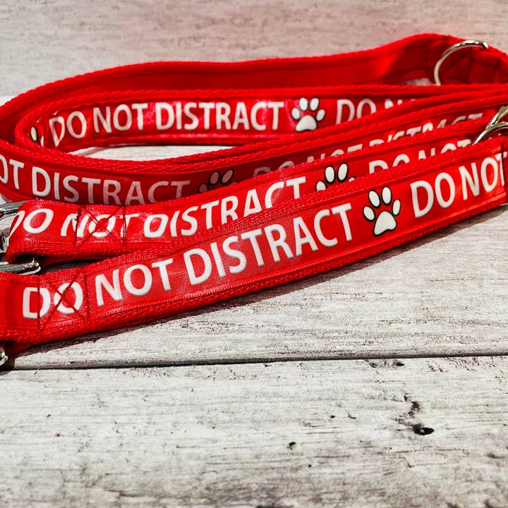 Enfärgad Distrahera inte! koppel bly - stödhund för wholesale av Dottie's Pet Boutique