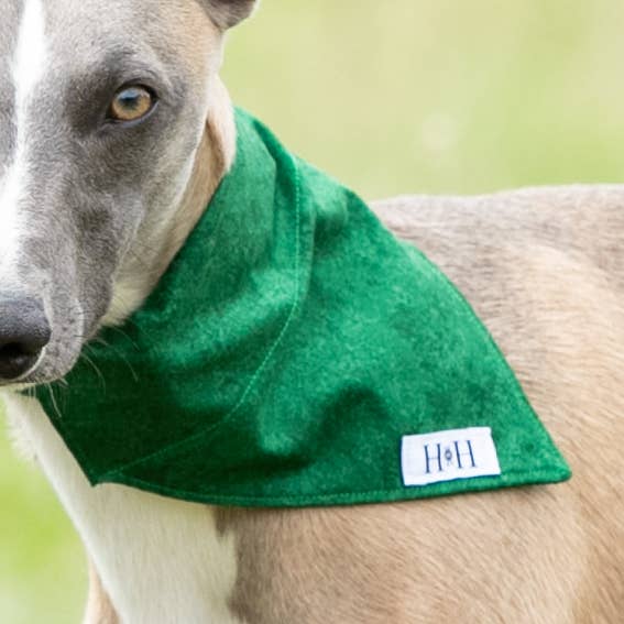 Halstuch für Haustiere, Waldgrün für den Großhandel von Hetty and Huxley