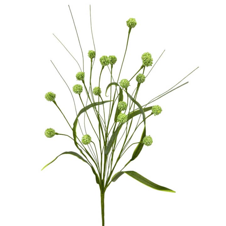 Grøn Allium Fyldspray 23 Tommer 63838GN for engroshandel hos Trendy tree