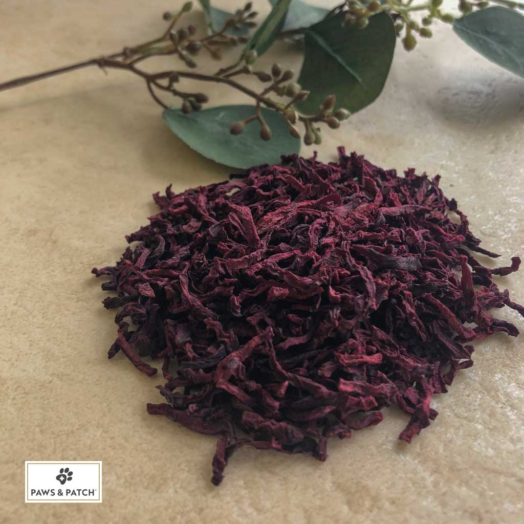 Paws & Patch GmbH - Wholesale Pet Food - Dog - Paws & Patch Beetroot Strips For Dogs1