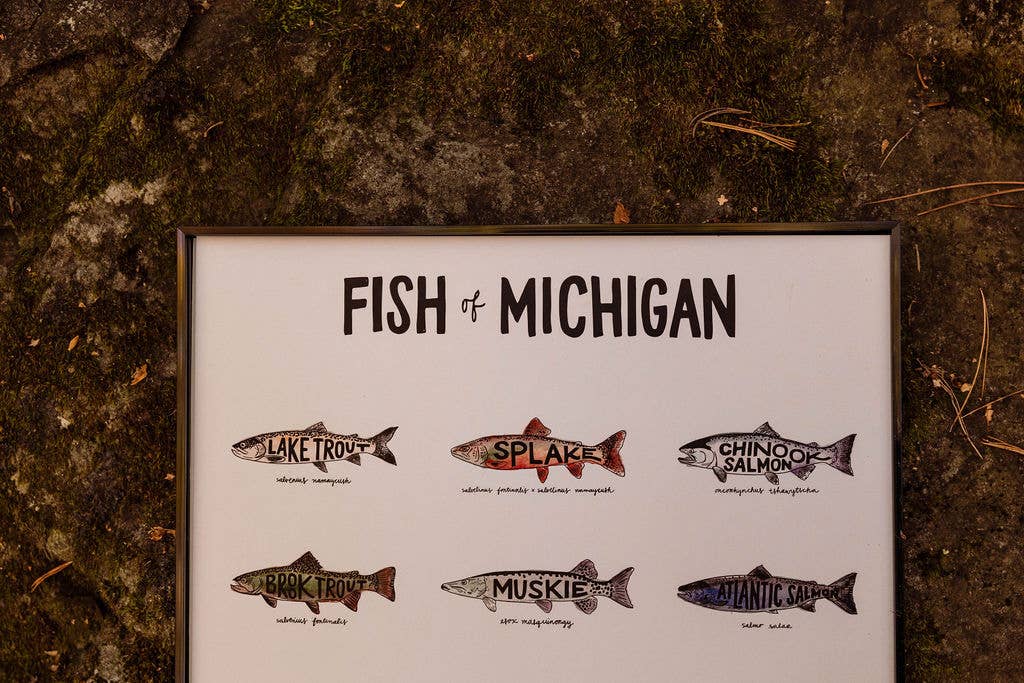 Home Squirrel - Wholesale Art Print - Fish of Michigan Watercolor Print4