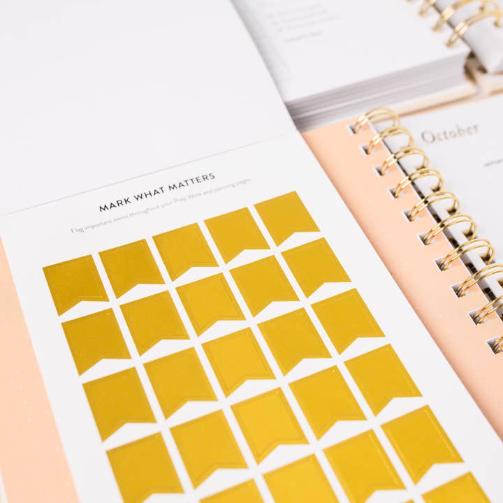 The Daily Grace Co - Wholesale Sticker - Goal Setting Sticker Book 1st Edition2