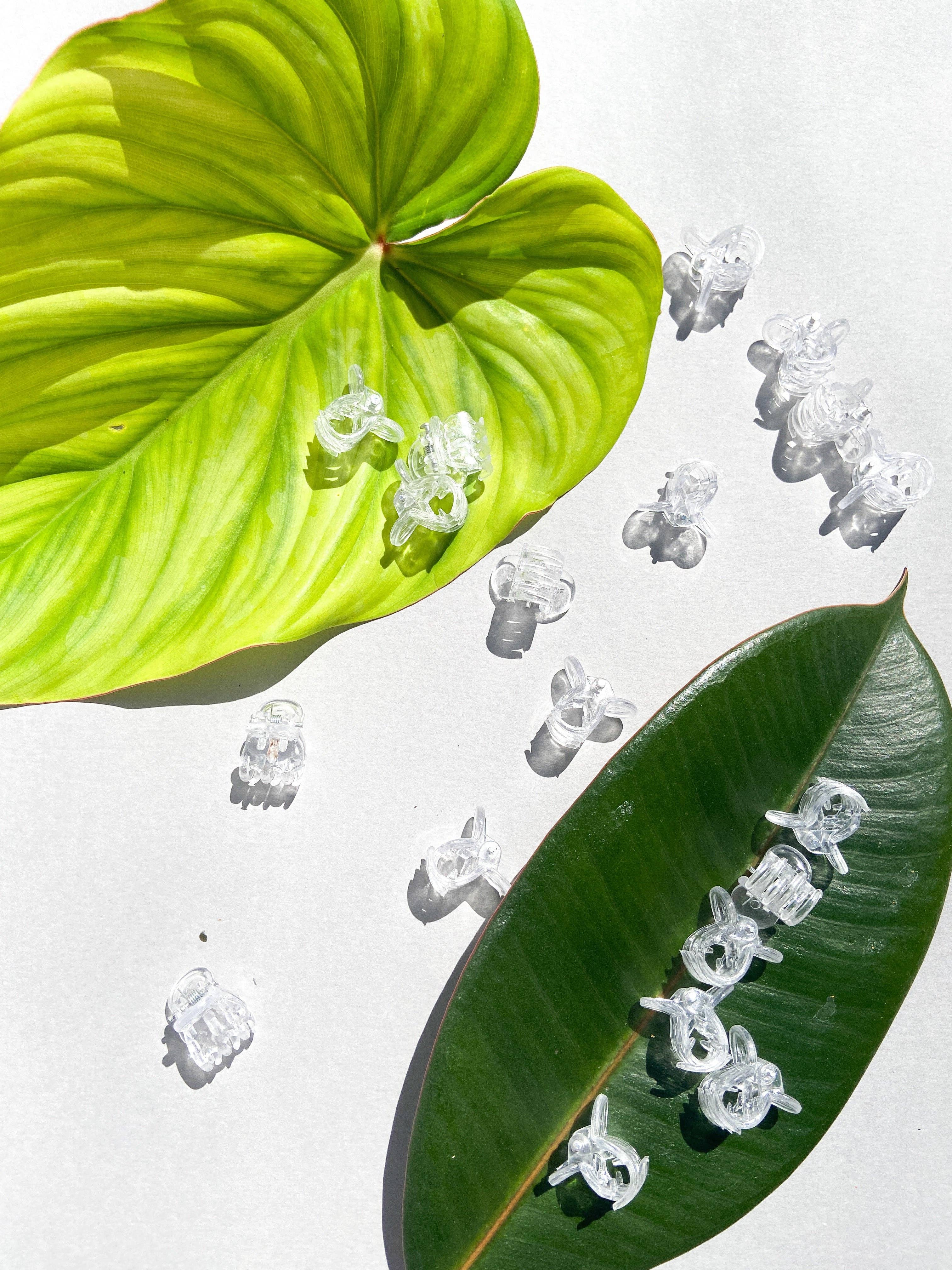 Propagation Diaries - Wholesale Garden Tool - Clear Plant Clips (Set of 50)3