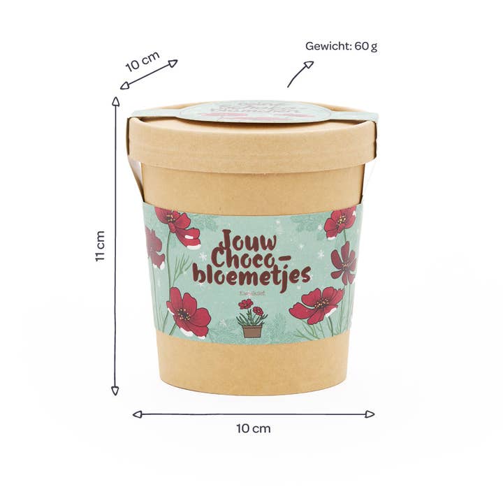 TDJ Stadtgärtner GmbH - Wholesale Plant Seeds - Chocolate flowers from the cup (NL)3