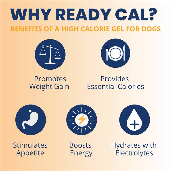 Under the Weather Pet - Wholesale Pet Supplement - Dog - Ready Cal High-Calorie Supplement For Dogs + Electrolytes