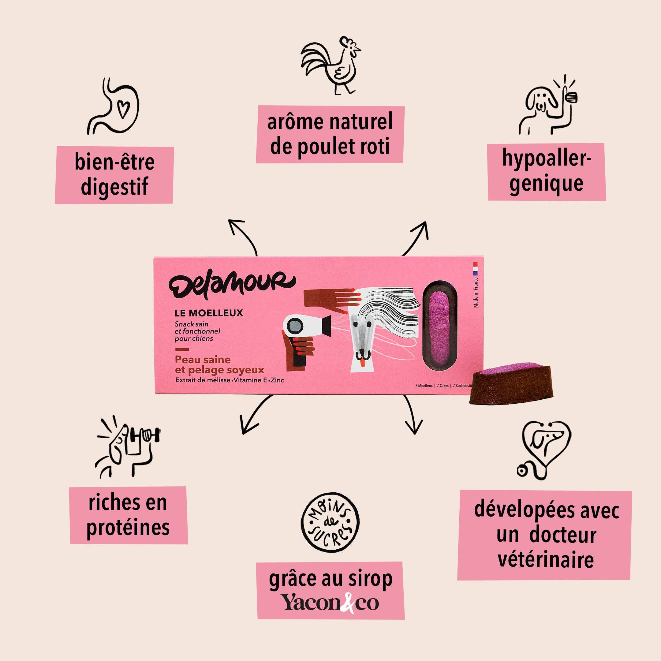 Delamour - Wholesale Pet Treats - Dog - Le Moelleux - 7 Pâtisseries for healthy skin and shiny hair1
