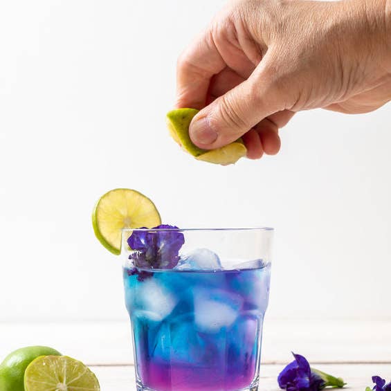 INSTINKS - Wholesale Loose tea - Blue Butterfly Pea - organic3