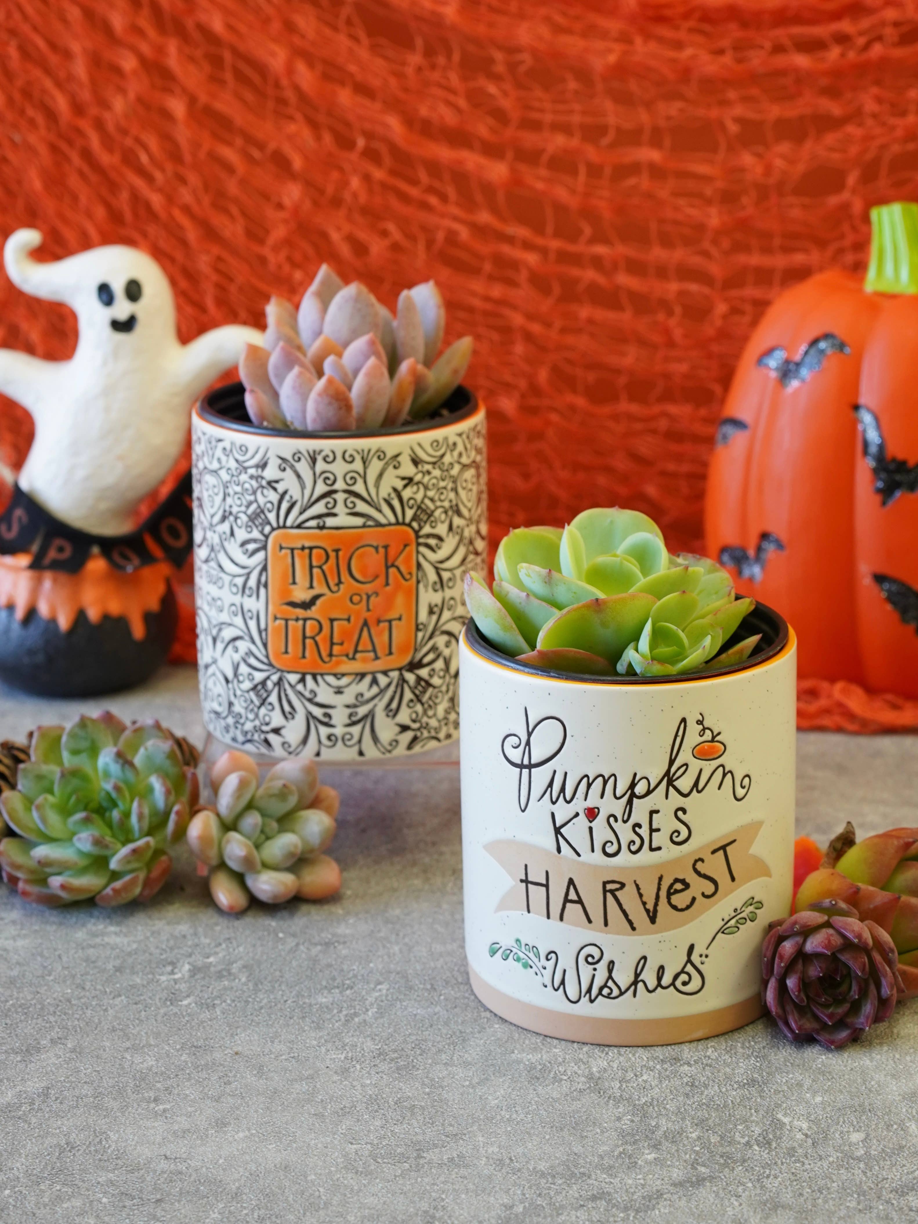 Springer Décor - Wholesale Plant Pot - Trick or Treat2