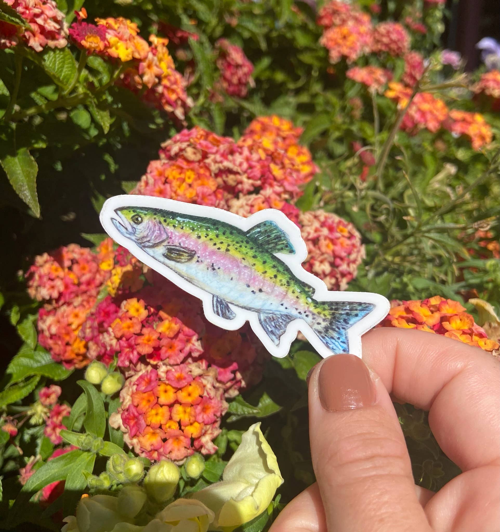 Brush & Bark - Wholesale Sticker - Rainbow Trout Sticker1