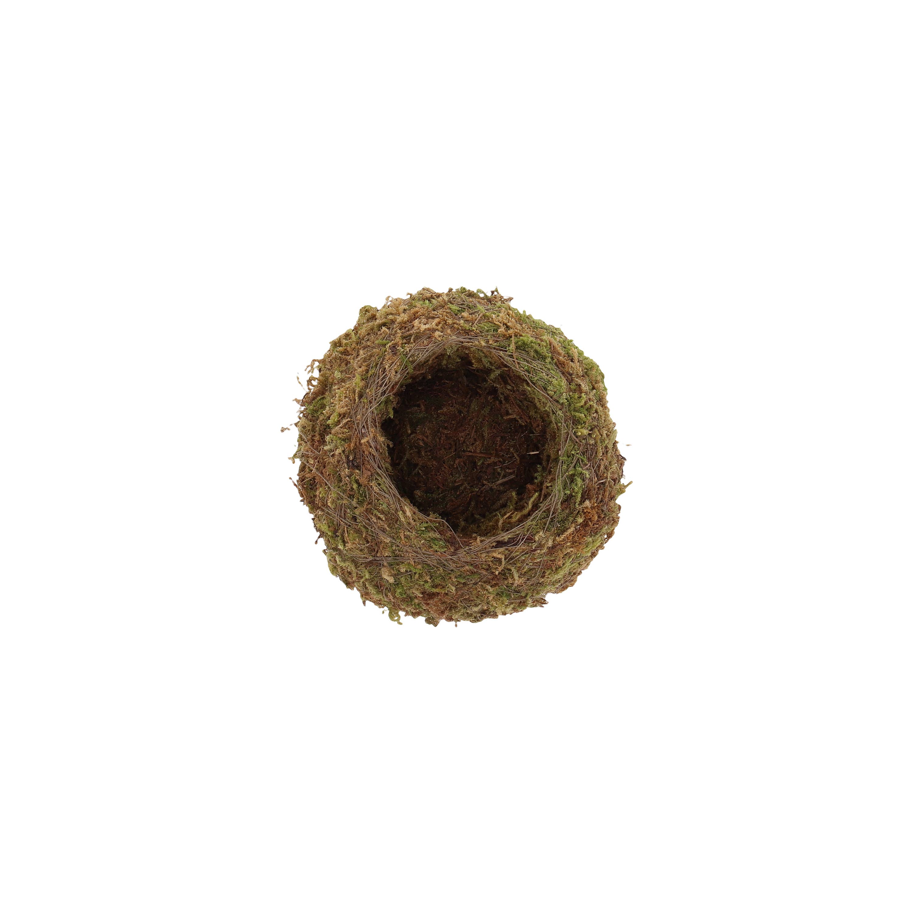 Esschert Design USA - Wholesale Hanging Planter - Kokedama Ball - Small1