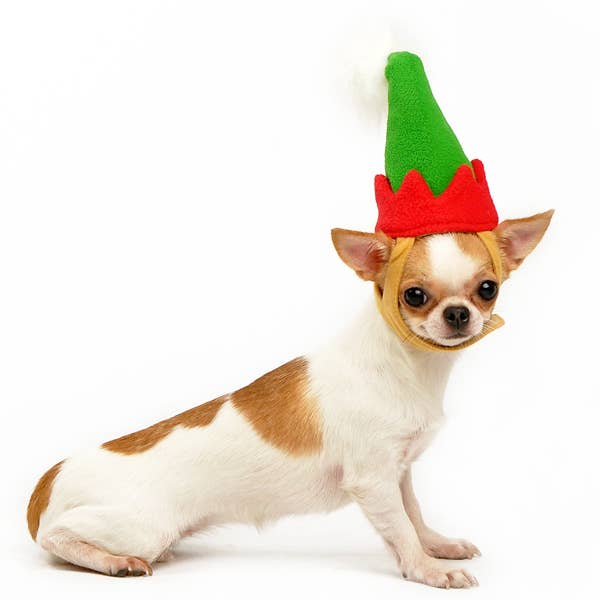 Dogo Pet - Wholesale Pet Costume - Dog - Elf Hat5