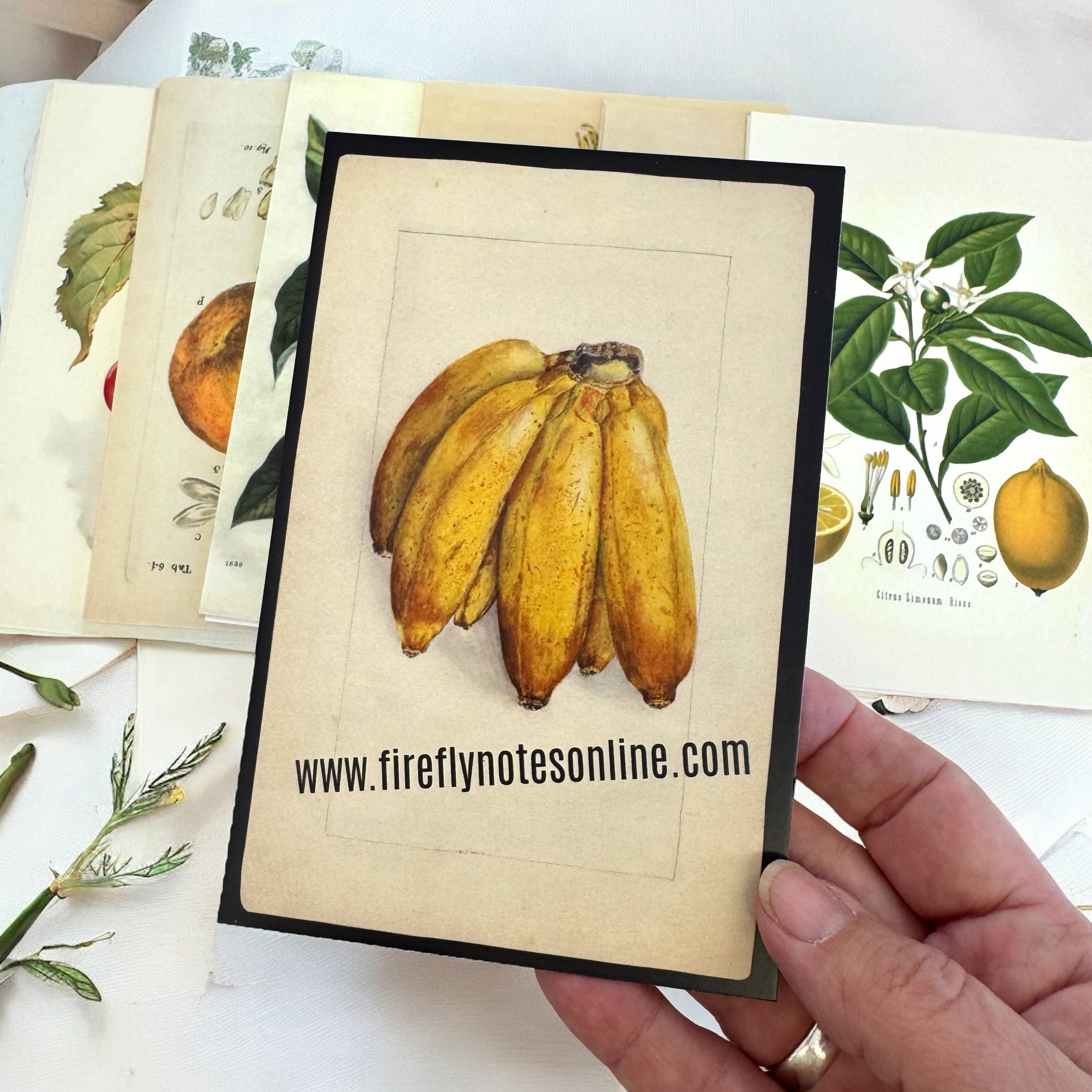 Firefly Notes – wholesale Recipe card – Botanical Recipe Card Set ,12 Cards + Banana Bread Recipe4