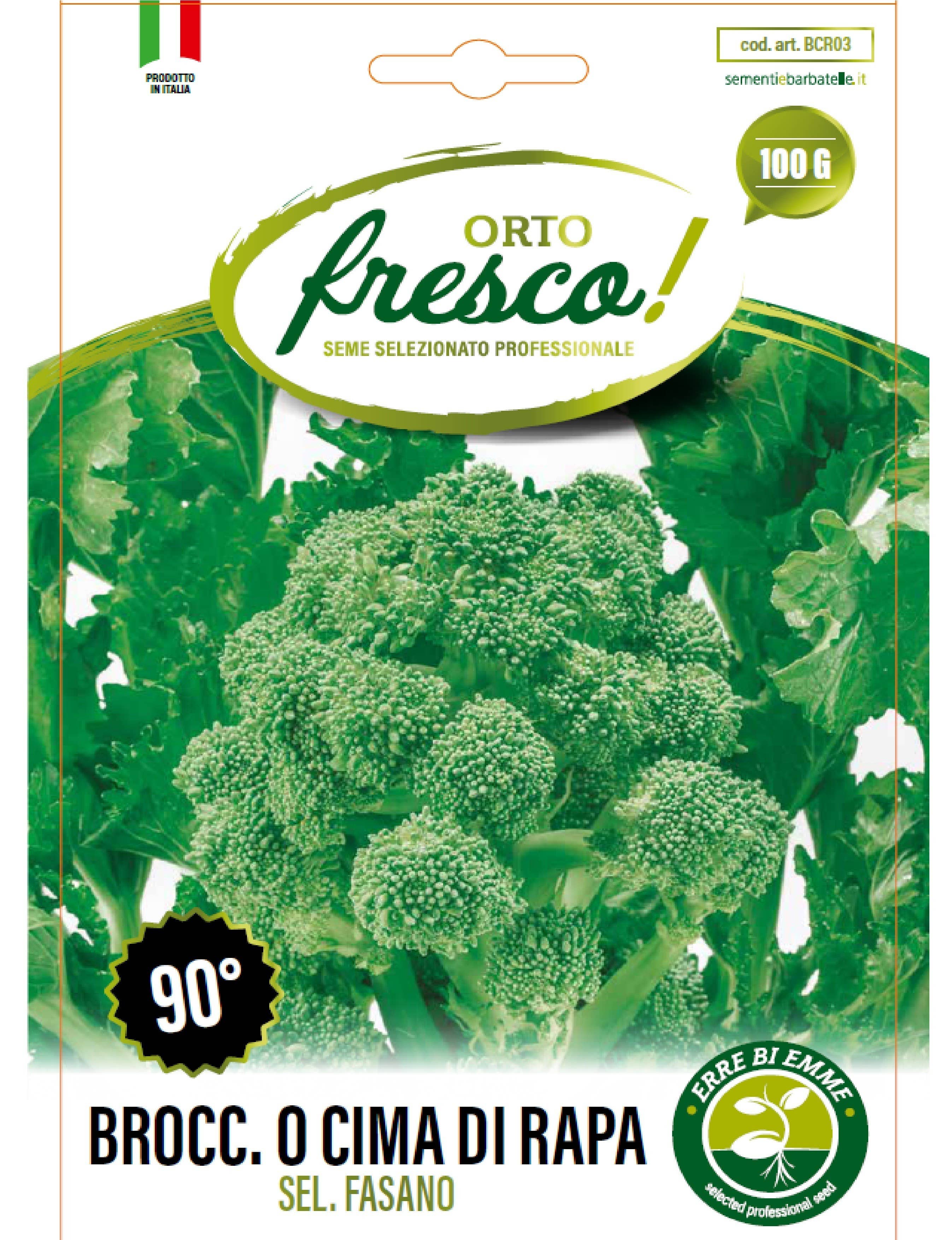 Sementi & Barbatelle - Wholesale Plant Seeds - Broccoli or Turnip Greens Sel. Fasano 90°0