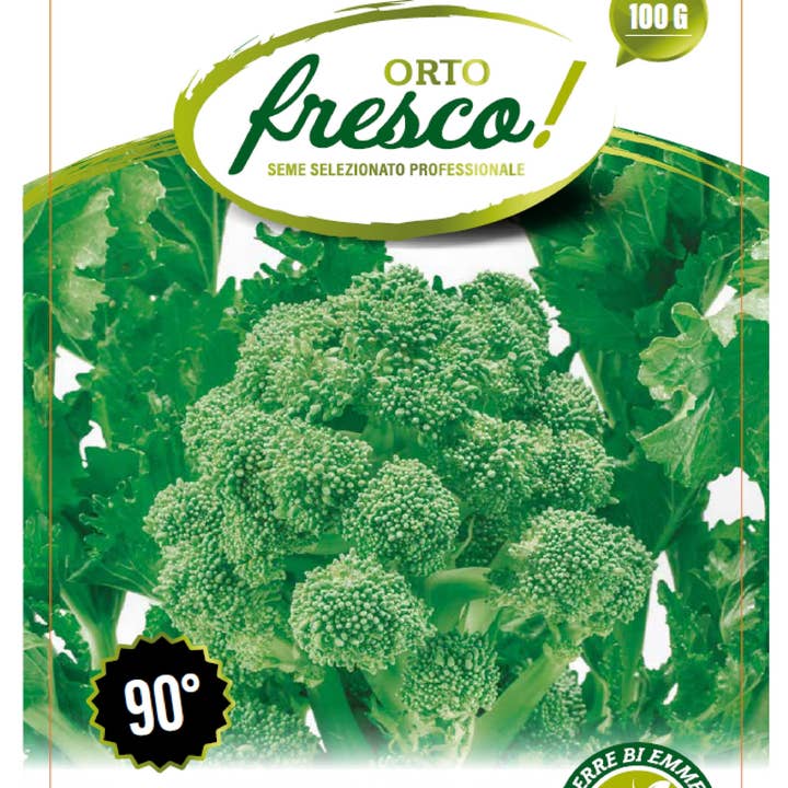 Sementi & Barbatelle - Wholesale Plant Seeds - Broccoli or Turnip Greens Sel. Fasano 90°