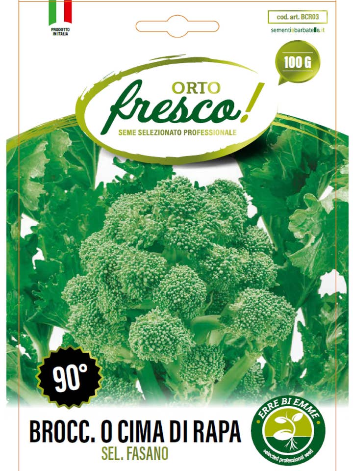 Brócolo ou Grelos Sel. Fasano 90° por atacado de Sementi & Barbatelle