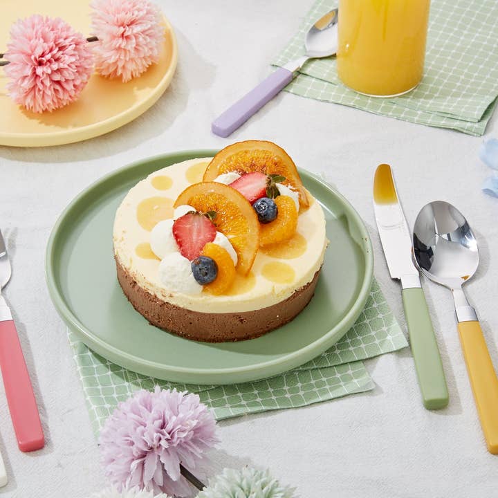 ANNOVA - Wholesale Cutlery set - ANNOVA Sleek 20 Pieces Silverware Set59