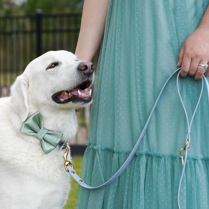 Duke's Dog Co. - Vente Nœud papillon – chien - Nœud papillon pour chien | Sage Satin | Nœud de mariage pour chien
