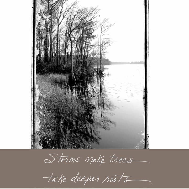 Bonair Daydreams - Wholesale Sympathy Card - 442CM: Storms Make Trees Take Deeper Roots. - Dolly Parton