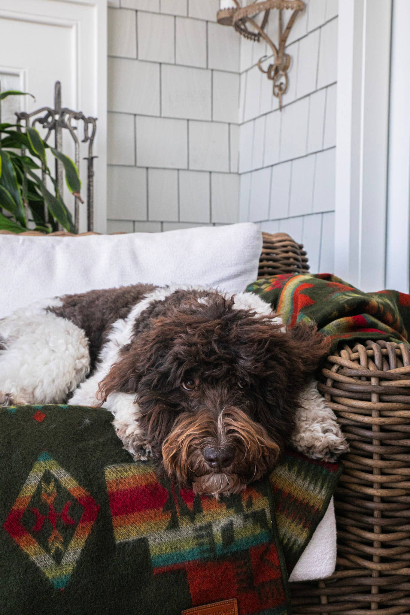 Ecuadane - Wholesale Throw Blanket - Woven Southwest Blanket, Camping Outdoor Blanket 3