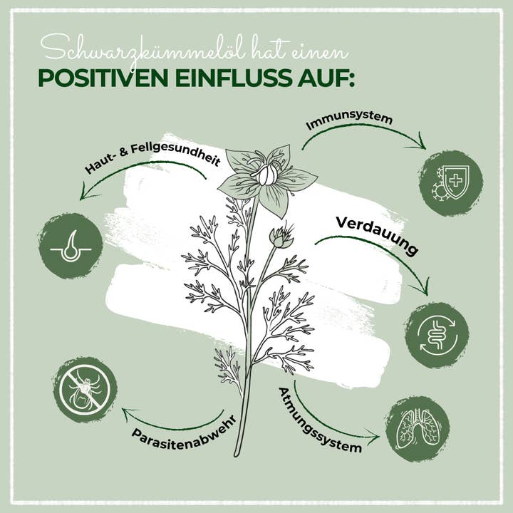 Kauartikel.com GmbH - Wholesale Pet Supplement - Dog - LaPura Bio Black Cumin Oil 100ml2