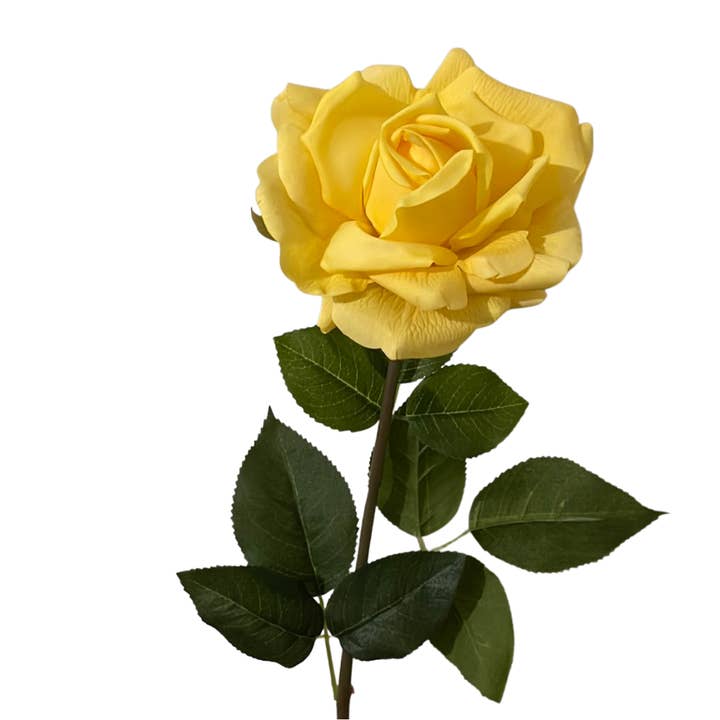 JKF & Co Pty Ltd – wholesale Artificial flowers – Louis Rose Real Touch Single Stem18