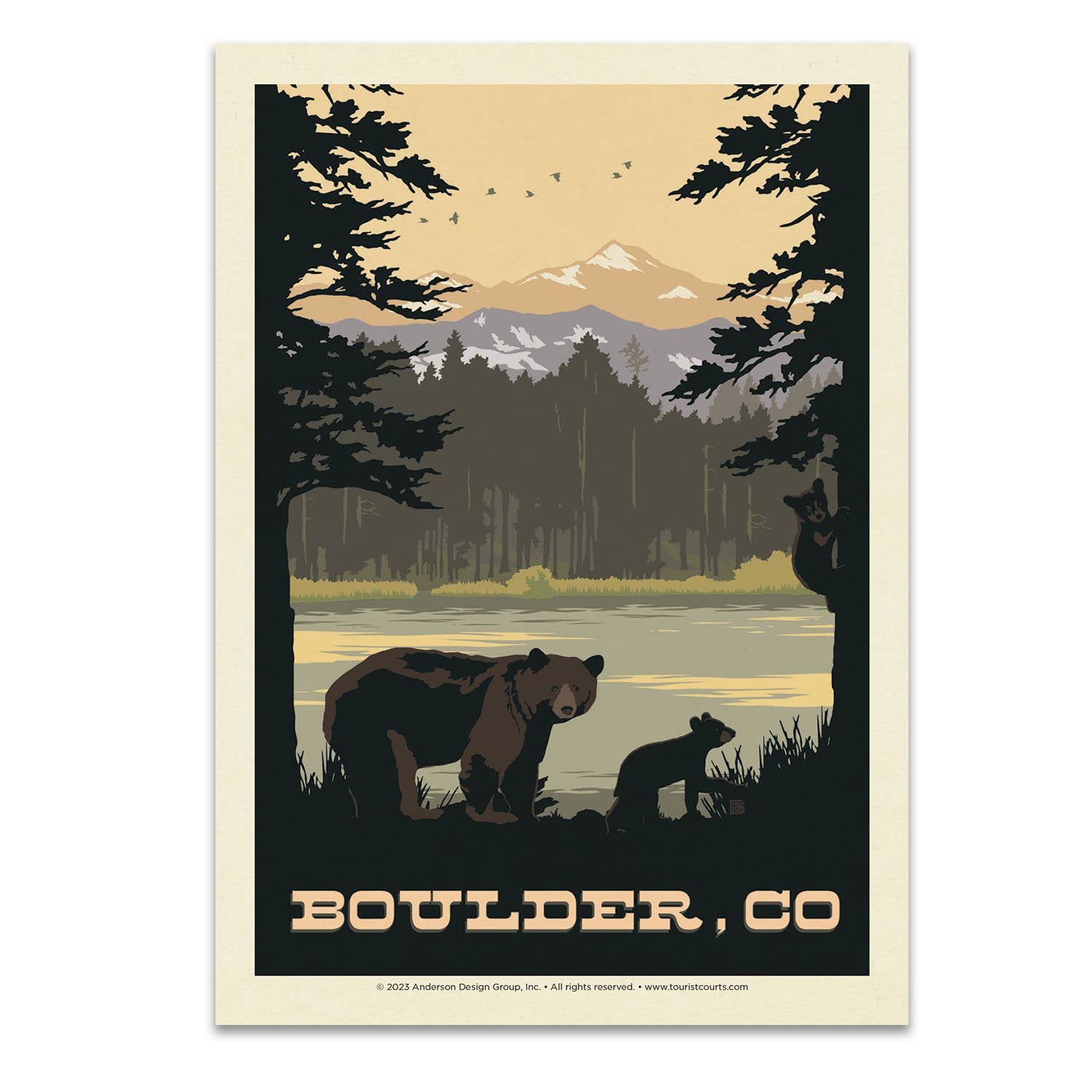 Tourist Courts - Wholesale Postcard - Boulder Colorado Bears Postcard0