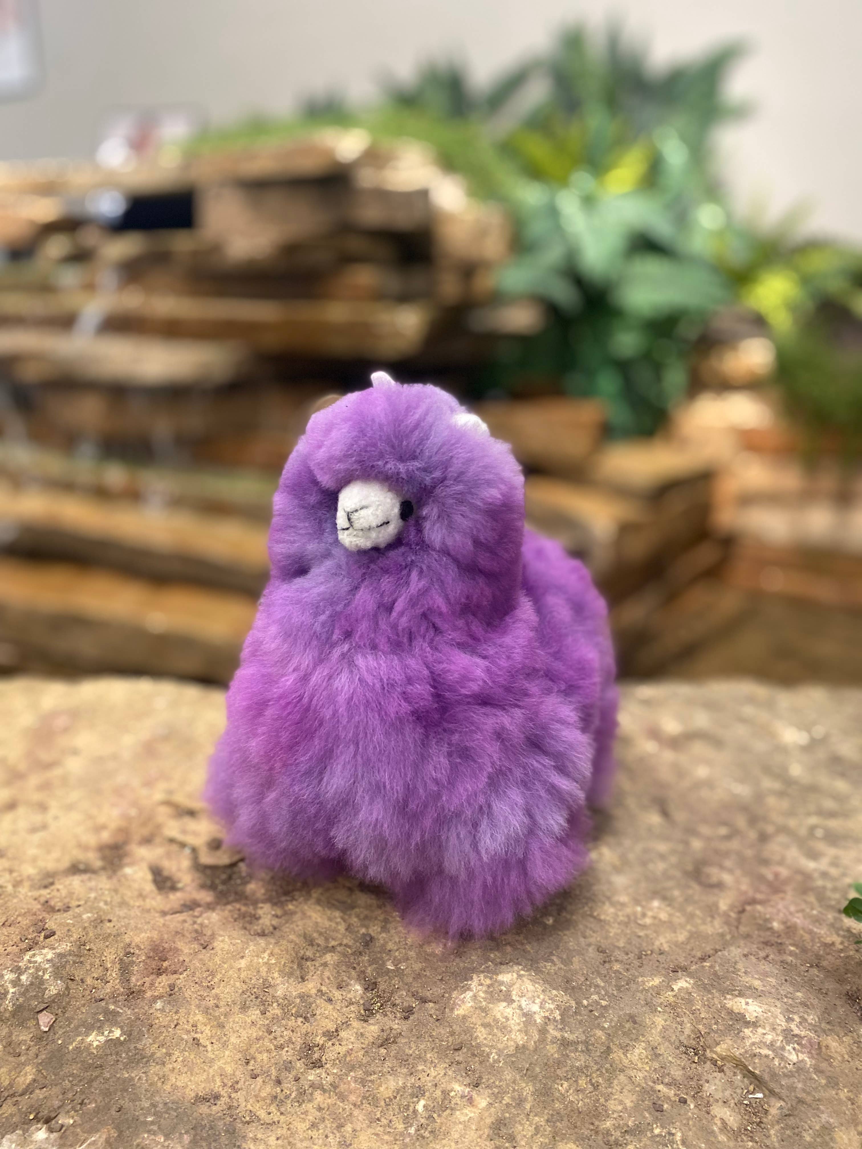 Blossom Inspirations - Wholesale Stuffed/Plush Toy - Kids & Baby - Llamacorn Alpaca Fur Toy13