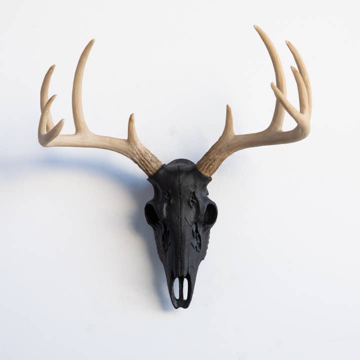 Near and Deer - Wholesale Wall Accent - Faux Mini Buck Skull Wall Mount3